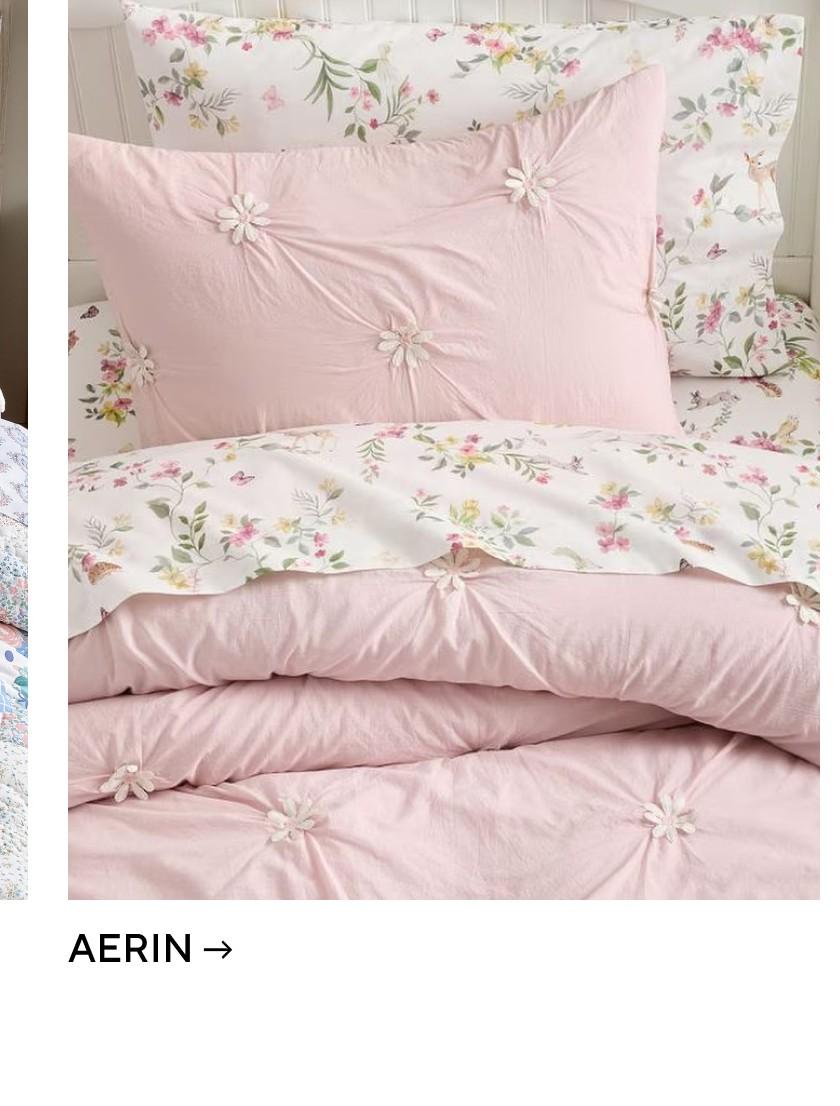 AERIN